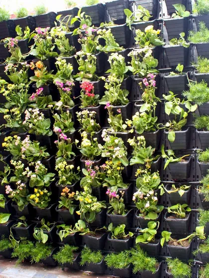 Another angle of the driveway garden, showing the mix of colorful flowering plants. This installation proves that any wall can become a source of beauty and joy.