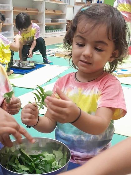 Evolve Montessori - Montessori Preschool Program Curious Hands, Happy Minds photo 20