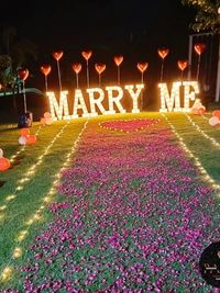 Romantic Occasions Decoration