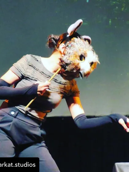 More snapshots and posters from my festival circuit. Each event is a unique opportunity to connect with new audiences and share the universal joy of storytelling.