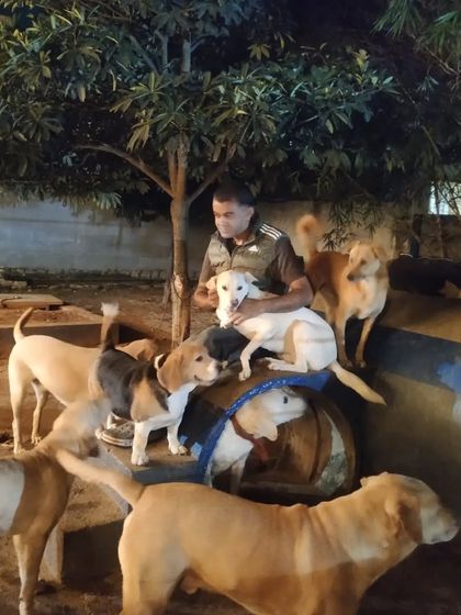 Wagg City - Cage-Free Dog Boarding & Daycare Hands-On Care & Cuddles photo 21