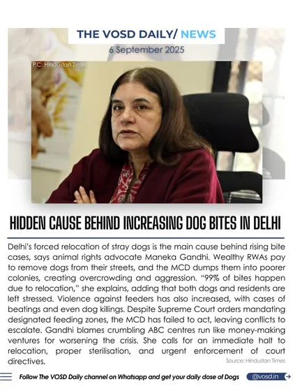 Animal rights advocate Maneka Gandhi states that the forced relocation of stray dogs is a hidden cause behind rising bite cases in Delhi. She argues that moving dogs creates overcrowding and aggression, calling for proper sterilization instead.