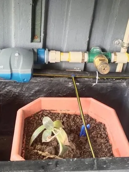 This is the brain of our automatic drip irrigation system. We install a programmable water timer that gives you complete control over your watering schedule without any daily effort. This device ensures your plants receive water at the right time and for the right duration, saving both water and your time.