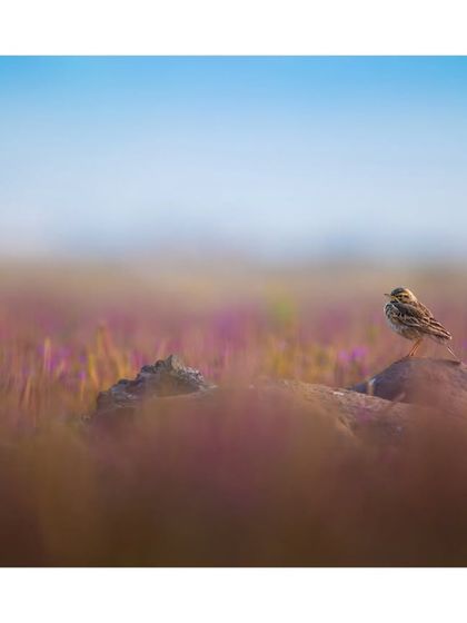 Behind the Lens: My Journey photo 21