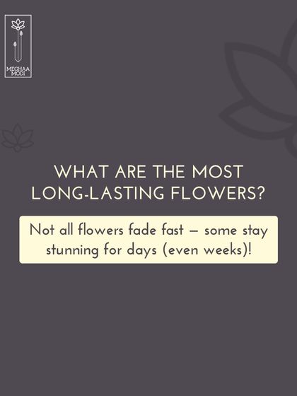 Not all flowers fade fast. This graphic introduces the topic of long-lasting flowers, a key module in my courses that helps students design with confidence and practicality.