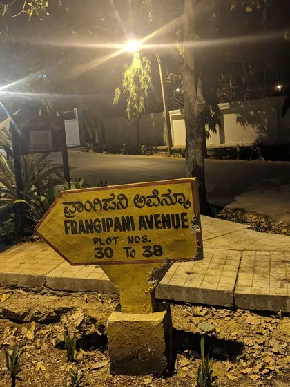 A hand-painted sign for 'Frangipani Avenue' in old Whitefield. The lanes here are named after flowers and trees, and cycling through them is a peaceful, magical experience.