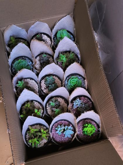 Bulk & Event Gifting photo 5