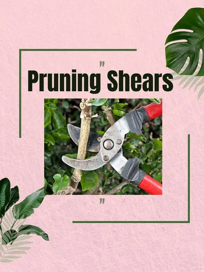 Pruning shears are essential for keeping your plants healthy and well shaped. They allow for clean cuts when removing dead branches or trimming plants to encourage new growth.