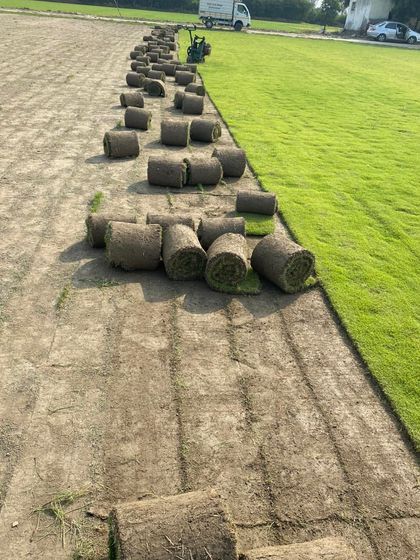 A long line of natural grass rolls, freshly cut and waiting to be laid. This is how we prepare for large-scale landscaping jobs.