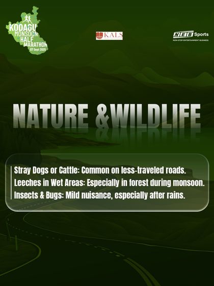 Be aware of nature and wildlife. Our guides prepare you for everything from stray animals to leeches in wet areas.