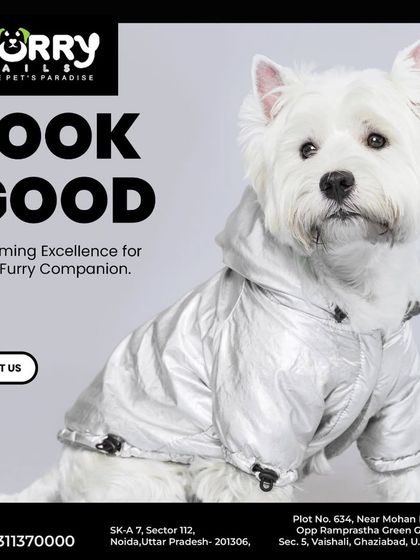 Help your furry companion look good and feel even better. We provide grooming excellence with a focus on quality, style, and your pet's comfort.