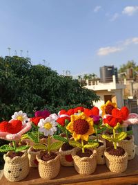 Crochet Pot Flowers