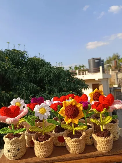 A collection of my potted flowers enjoying some sun on my balcony before being packed.