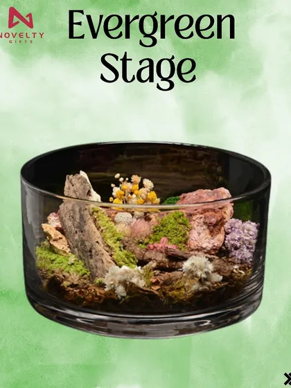 This 'Evergreen Stage' terrarium creates a miniature natural landscape in a wide, cylindrical glass bowl. It's a beautiful and lasting piece of decor for any space.