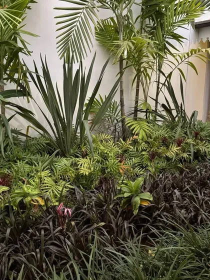 A rich tapestry of foliage, with varying shades of green, black, and purple, demonstrates how I use plant textures and colors to create a lush, tropical feel.