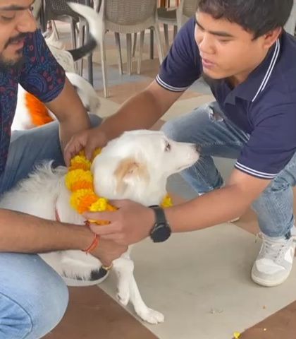 Therpup - Pet-Friendly Cafe & Restaurant Paw-ties & Celebrations photo 27