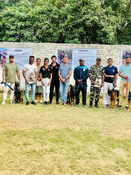 The group photo from my successfully completed 3-day PSA seminar. A great group of handlers and dogs, all passionate about the sport.