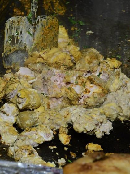 Our Famous Tandoor & Tava Grills photo 8