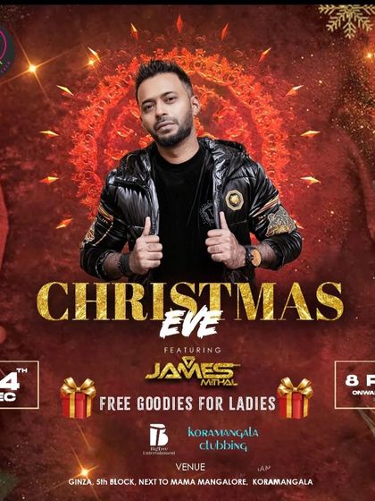 James Miithal - Themed & Festive DJ Sets Festive & Holiday Celebrations photo 13