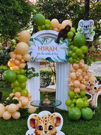 Birthday Party Decoration