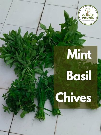 A fresh harvest of essential herbs: mint, basil, and chives. These aromatic greens are perfect for adding fresh flavour to meals, teas, and chutneys.