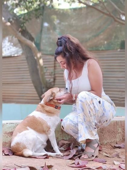 Fuzzy Wuzzy - Pet Grooming & Spa Spaniels, Retrievers & Large Breed Grooming photo 72