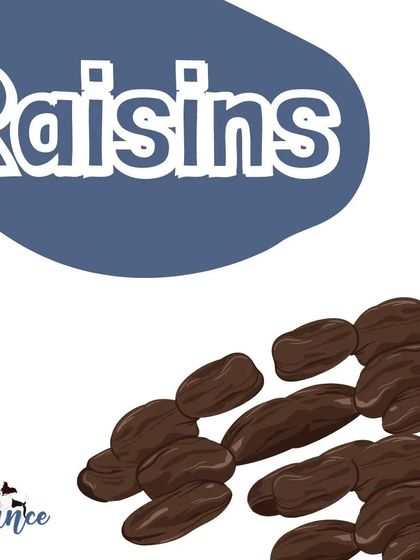 Just like grapes, raisins are very toxic to dogs. Be careful with foods like trail mix or baked goods that might contain them.