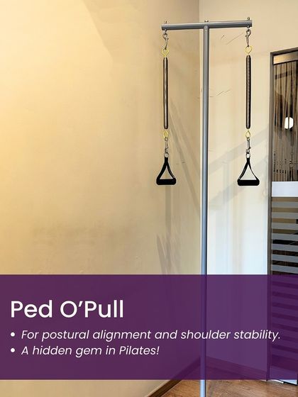 Kavita Prakash - Pilates Teacher Training Our State-of-the-Art Studio & Apparatus photo 9