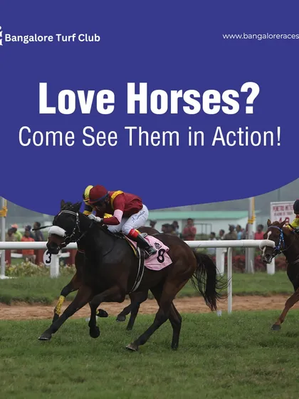 If you love horses, there is no better place to see their power and grace up close. We invite you to join us for a race day and experience the unforgettable action firsthand.