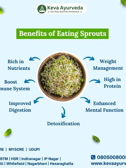 Sprouts are a nutritional powerhouse. This graphic details their many benefits, including being rich in nutrients and protein, boosting the immune system, improving digestion, and aiding in weight management.