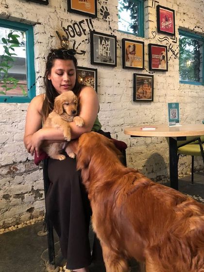 A guest sharing a hug with a golden retriever puppy while the older golden looks on. It's a family affair!