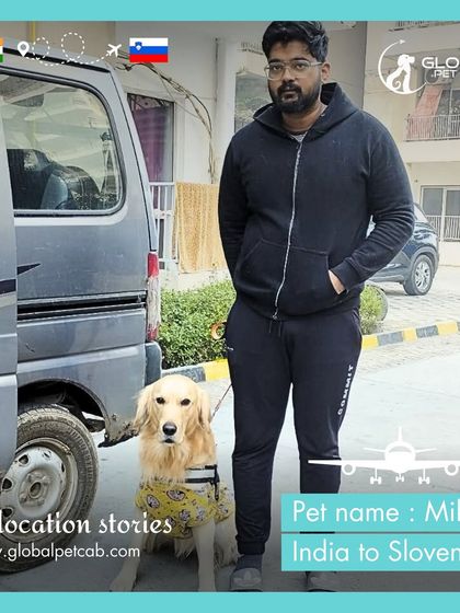 Global Pet Cab - International Pet Relocation Our Pawsengers: Dog Journeys photo 6