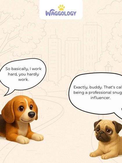 The eternal conversation between the hard-working dog and the "professional snuggle influencer." Every pet parent can relate to this dynamic.