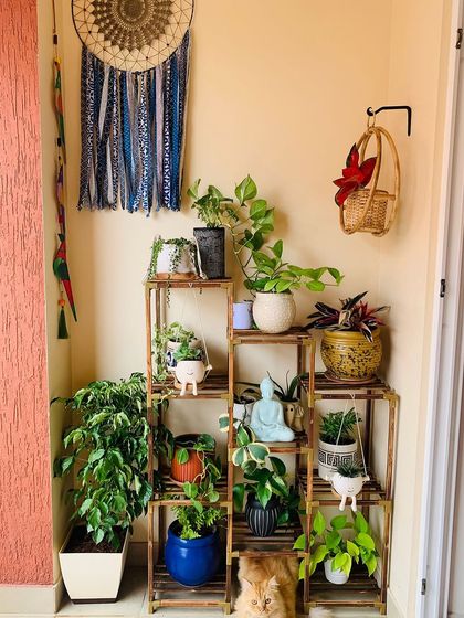 A happy client's cozy corner, featuring a multi-tiered wooden plant stand I provided. It's a great way to display a collection of small to medium-sized plants without taking up too much space.