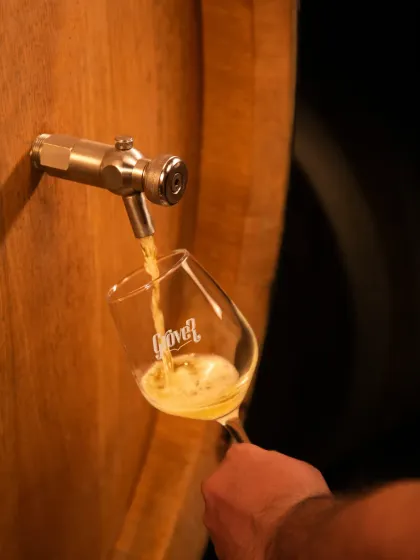 There is a quiet magic in watching our Fumé Blanc journey directly from an oak barrel to the glass. This pour represents the patience, tradition, and craft that I pour into every bottle, transforming it into liquid gold.