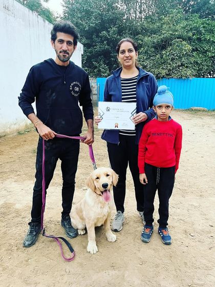 Cooper the Golden Retriever has completed his graduation in basic and advanced obedience, mentored directly by me. I'm sure he will remain one of the most obedient pups with continued practice from his family.