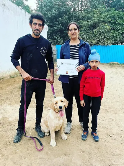 Cooper the Golden Retriever has completed his graduation in basic and advanced obedience, mentored directly by me. I'm sure he will remain one of the most obedient pups with continued practice from his family.