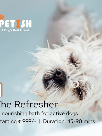 Petish Grooming - Mobile Grooming for Dogs & Cats Our Grooming Packages photo 3