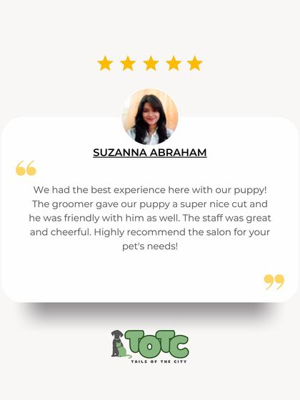 Tails of the City - Pet Grooming What Our Pet Parents Say photo 3