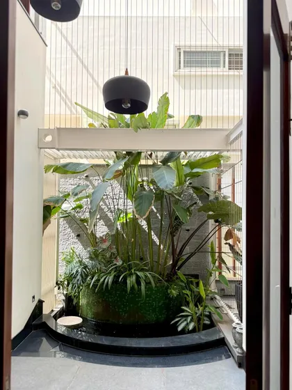 We create serene indoor water features that bring the calming sound of water and the beauty of aquatic plants into your home. This installation features a central planter with tropicals surrounded by a pond, becoming a stunning focal point.
