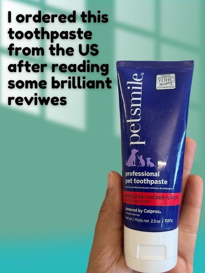 This is a professional pet toothpaste I ordered from the US. Finding a flavor your dog likes, such as this chicken flavored one, can make the brushing experience more pleasant for them.