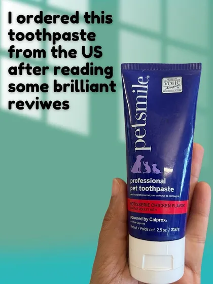 I use a professional pet toothpaste with a chicken flavor that Pantu likes. Never use human toothpaste on your dogs.