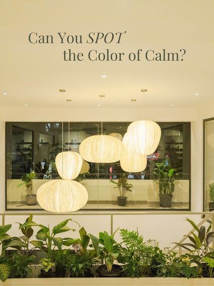 Can you spot the color of calm? The lush green plants against the warm, soft lighting of our Indiranagar cafe create a harmonious and renewing atmosphere.