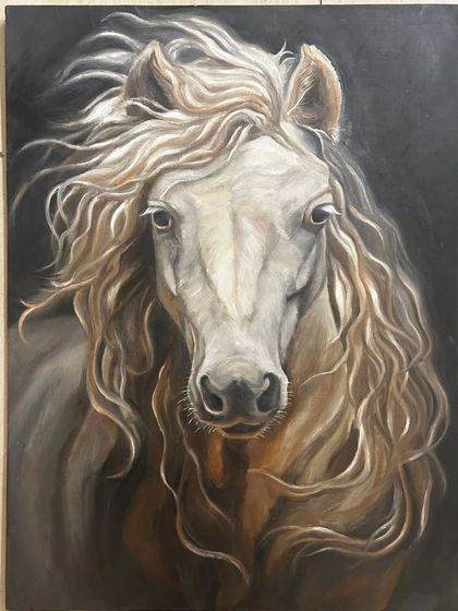 Shades Creative Gallery - Custom Artwork Commissions The Animal Kingdom photo 8