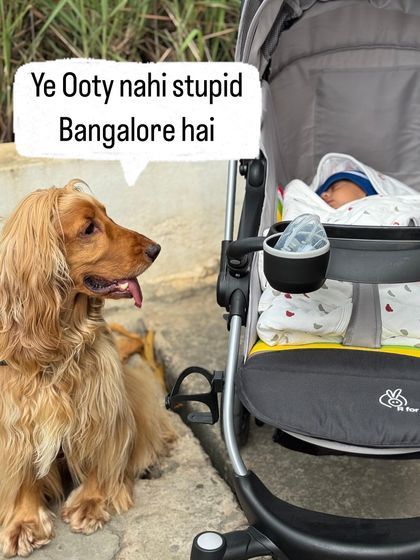 Posto setting the record straight. It's not Ooty, it's just Bangalore weather at its best.