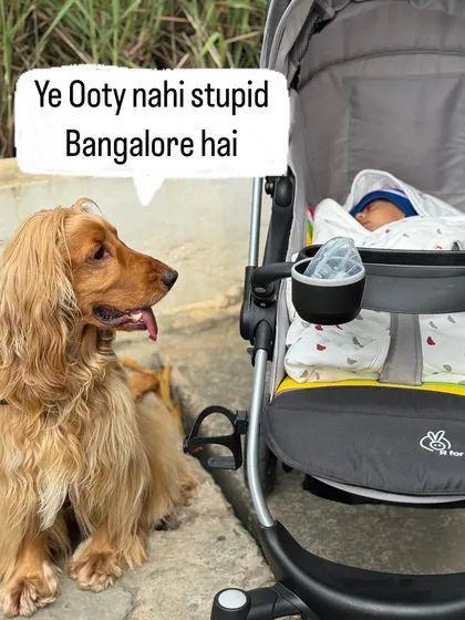 Posto's reaction to the cool Bangalore weather: "This isn't Ooty, stupid. This is Bangalore." He's not wrong, the weather here is amazing.