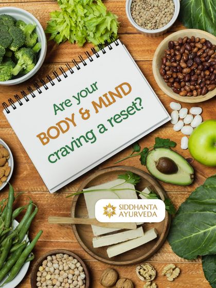 Siddhanta Ayurveda - Weight Management Detox & Panchakarma Therapies photo 10