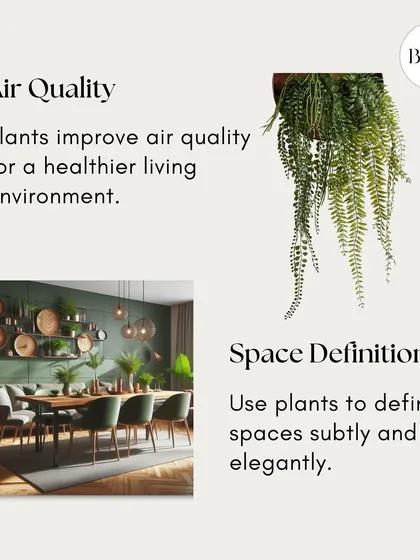 Did you know plants can improve air quality? They also help define spaces in a subtle and elegant way, making them a functional and beautiful addition to your home.