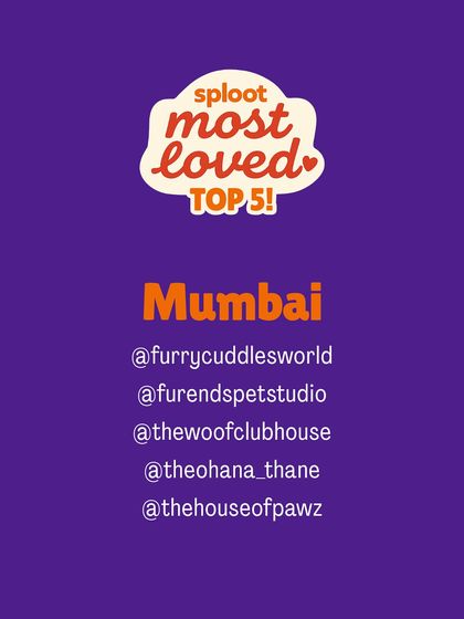 And the winners for Mumbai are in! Here are the Top 5 most loved dog boarding homes in the city, voted for by local dog parents who have experienced their care firsthand.