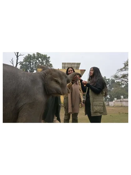 Meeting Gauri, a baby elephant rescued after being separated from her herd. Moments like these are pure connection, a quiet understanding that goes beyond words. This is the heart of why I do what I do.